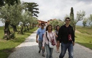 A spasso per cantine