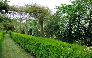 Al via la terza edizione di Giardini Aperti