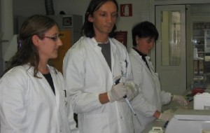 Alla ricerca di bioetanolo nei pioppi