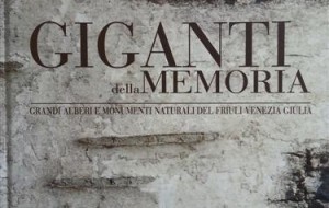 I Giganti della Memoria: un libro per amarli
