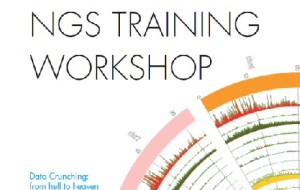 IGA: il petrolio del futuro è verde