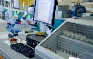 IGA Technology Services: un fiore all’occhiello per il FVG