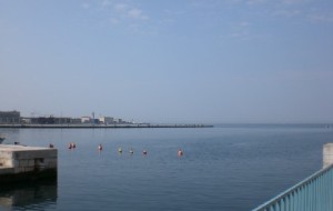 La Biennale diffusa che dà lustro a Trieste