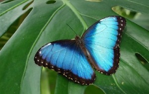 La natura e’ a portata di mano