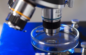 POSITION PAPER S3 BIOHIGHTECH FVG: INDUSTRIA, RICERCA, SALUTE