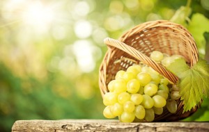 CAMPIONATI MONDIALI PER IL SAUVIGNON