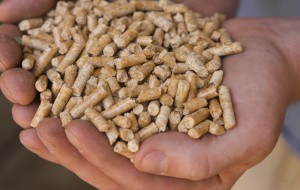 IVA SUL PELLET: LETTERA ALLA SERRACCHIANI