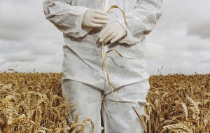 IL FRIULI VENEZIA GIULIA ESEMPIO NAZIONALE SUGLI OGM