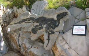 ATTENZIONE DINOSAURI : LAVORI IN CORSO