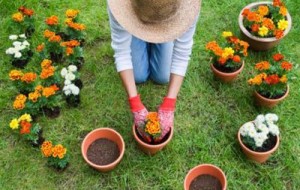 POLLICE VERDE E I BABY GREEN