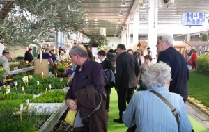 ORTOGIARDINO: L’OTTIMISMO E’ VERDE