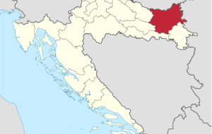 CROAZIA-FVG: CONVERGENZE CON IL PSR