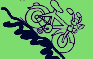 CONTRIBUTI BICICLETTE ELETTRICHE:NON PROPRIO UN SUCCESSO