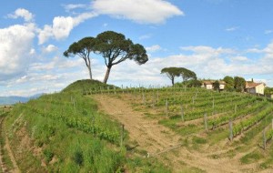 TEMPI PIU’ LUNGHI PER FRIULANO IN CORTO