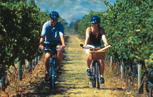 BIKES & WINES, TRA BICICLETTE E SAUVIGNON