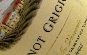 PINOT GRIGIO:FVG APRE TAVOLO INTERREGIONALE