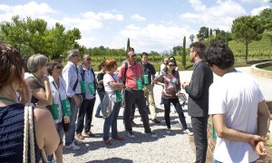 _MG_4376_MTV_1 (Medium)