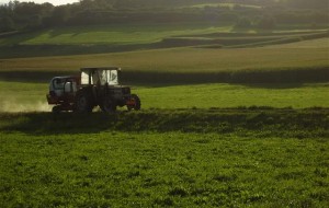 AGRICOLTURA:SIMPOSIO INTERNAZIONALE A UDINE