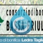 CONSORZIO BONIFICA PIANURA FRIULANA:PRIM0 IN ITALIA PER IMPIANTI