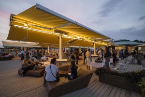 CalicidiStelle_2014 (Medium)