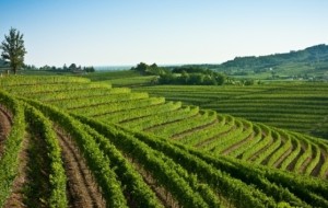 COLLIO E DINTORNI IN BICICLETTA