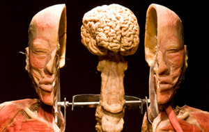 QUANDO L’ARTE DIVENTA UMANA