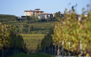 IL WINE FESTIVAL STRIZZA L’OCCHIO OLTRE CONFINE