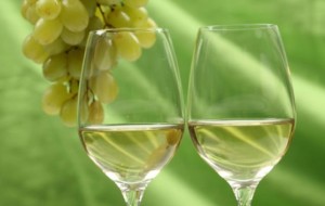 VINO FRIULI: LA QUALITA’  VINCERA’ SULLO SCANDALO SAUVIGNON