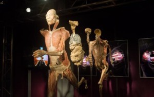 REAL BODIES: CHI SE L’E’ PERSA DOVRA’ ANDARE IN PORTOGALLO….