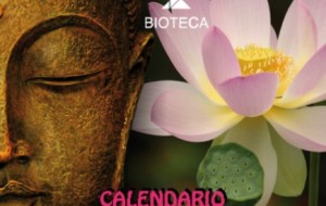 STARBENE…32 conferenze gratuite a Udine