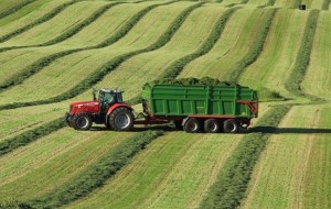 AGRIEST LAND 2016 …80 ESPOSITORI E PIU’ DI 100 RELATORI