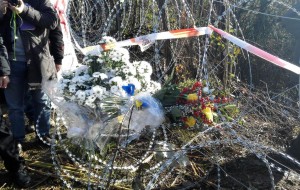 NO AL FILO SPINATO:FIORI PER RIBADIRLO