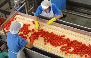 ALIMENTARE:IL 29 I LAVORATORI INCROCIANO LE BRACCIA