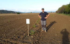 IN FVG IL PIU’ GRANDE BAMBUSETO D’EUROPA