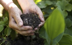 AIUTI REGIONALI AGLI AGRICOLTORI IN DIFFICOLTA’