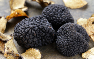 NOVITA’ EUROPEE PER IL TARTUFO
