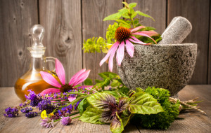 ERBE FRIULANE CONTRO I BATTERI