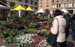 PASQUA IN CITTA’. UDINE IN FIORE