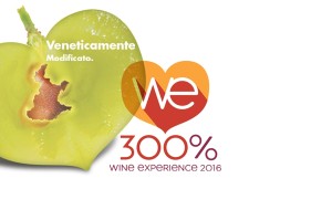 ALLA SCOPERTA DEI VINI VENETI