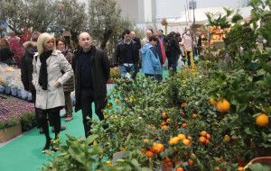 BEN TORNATA PRIMAVERA. RITORNA POLLICE VERDE A GORIZIA