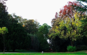 IL FRIULI MISTERIOSO