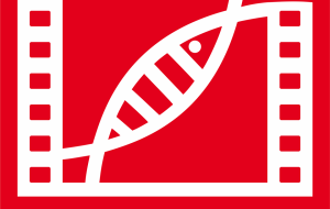 CORTINAMETRAGGIO 2016: fase finale 14-20 marzo