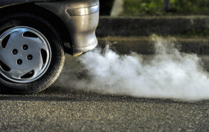 DOVE SI NASCONDONO I TUMORI IN FVG?