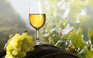 DOC FRIULI PER LA PROSSIMA VENDEMMIA