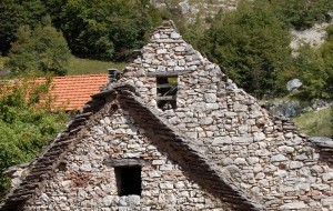 ECOMUSEI, PERLE DEL TERRITORIO