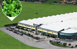 IL TRIFOGLIO PORTA FORTUNA? TROVATA LA PROVA CERTA