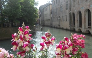 TREVISO FIOR DI CITTA’. AFFLUENZA OK! IN POCHI (PER ORA) SUL BUS ELETTRICO