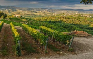 COLLIO: FVG E SLO RIBADISCONO AZIONI COMUNI