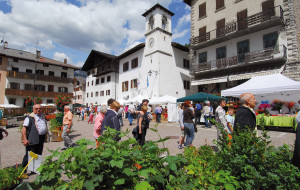 I SEGRETI DELLE ERBE SPONTANEE A FORNI DI SOPRA