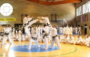 A TARVISIO SESTO WORLD CISA SYMPOSIUM DI ARTI MARZIALI